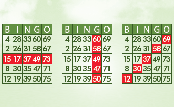 Bingo Umwelt Bingo Umwelt