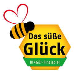 Bingo Die Umweltlotterie Bei Lotto S H Spielen So Geht S