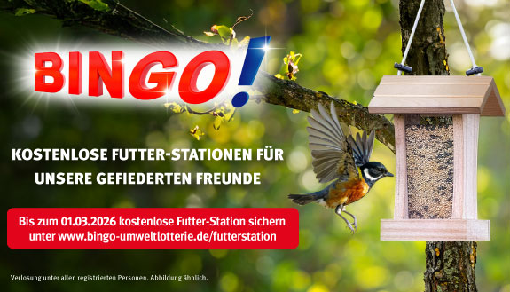 BINGO-Futterstation